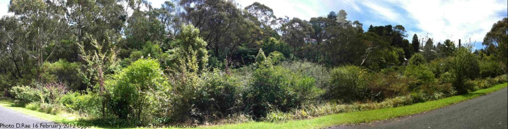 Upper Kedumba Bushcare Panorama 2012